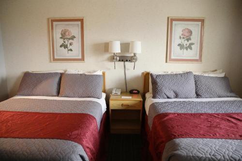 Hotel Rocker
